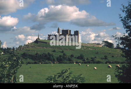 Der Rock of Cashel mittelalterliche romanische Kirche inmitten einer fruchtbaren Weiden Stockfoto