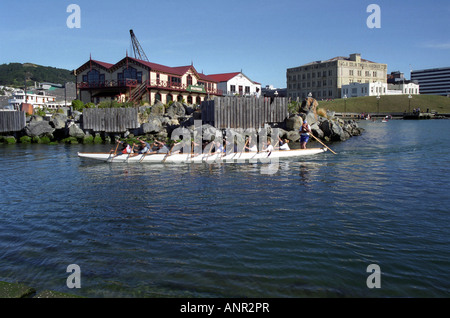 Drachenboot, Lambton Harbour, Wellington, Nordinsel, Neuseeland Stockfoto