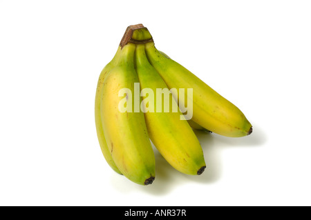 Bananito Bananen Haufen ein halbes Dutzend sechs Stockfoto
