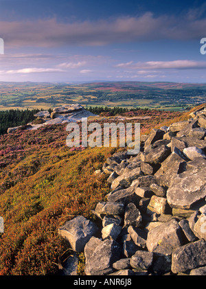 Blick vom Felsen Taube auf den Simonside Hügeln in Northumberland England über Rothbury. Im Sommer mit wilden Preiselbeeren und Heidekraut Stockfoto