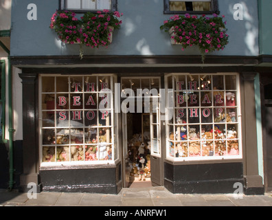 Teddybär-Shop in Elm Hill Norwich East Anglia Norfolk UK Stockfoto