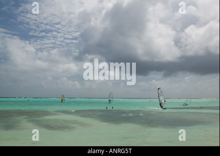 ABC-Inseln BONAIRE, Sorobon Beach: Windsurfen auf Lac Bay & Sorobon Beach Nr. Stockfoto