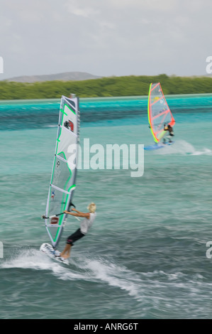 ABC-Inseln BONAIRE, Sorobon Beach: Windsurfen auf Lac Bay & Sorobon Beach Nr. Stockfoto