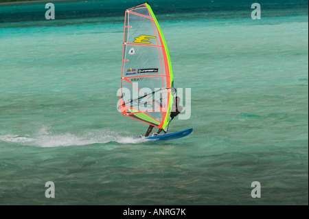 ABC-Inseln BONAIRE, Sorobon Beach: Windsurfen auf Lac Bay & Sorobon Beach Nr. Stockfoto