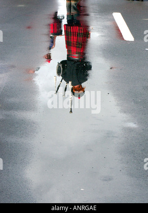 Die Te Kuiti Muster Schafschur Staatsangehörigen Neuseeland 2005 Stockfoto