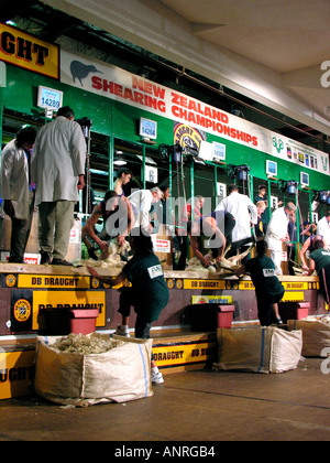 Die Te Kuiti Muster Schafschur Staatsangehörigen Neuseeland 2005 Stockfoto