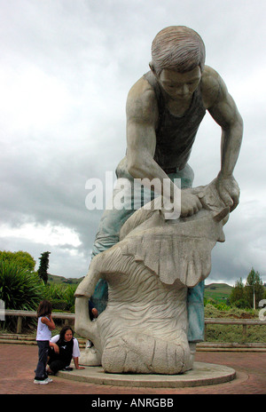 Die Te Kuiti Muster Schafschur Staatsangehörigen Neuseeland 2005 Stockfoto