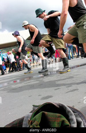 Die Te Kuiti Muster Schafschur Staatsangehörigen Neuseeland 2005 Stockfoto