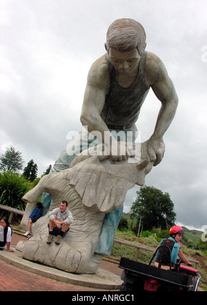 Die Te Kuiti Muster Schafschur Staatsangehörigen Neuseeland 2005 Stockfoto