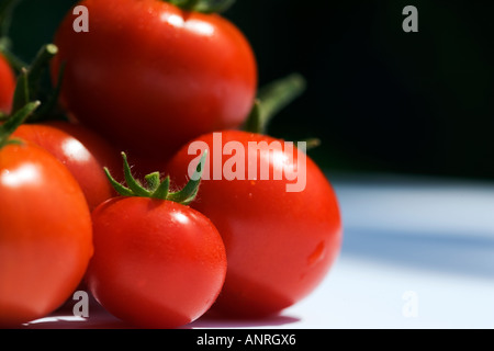 GEMEINSAMER NAME: Tomaten lateinischer NAME: Lycopersicon Esculentum Stockfoto