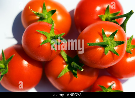 GEMEINSAMER NAME: Tomaten lateinischer NAME: Lycopersicon Esculentum Stockfoto