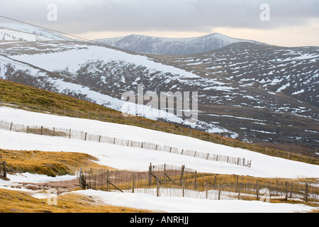 Im Winter Cairngorms aus dem Bergrestaurant Anzeigebereich angezeigt.  Standseilbahn Cairngorm Mountain. Aviemore. Hochland. Stockfoto