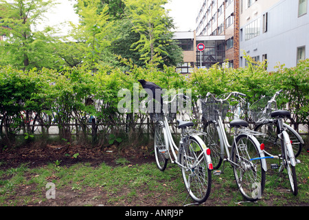 Fahrräder geparkt auf dem Campus der Universität Sapporo Hokkaido Japan Stockfoto