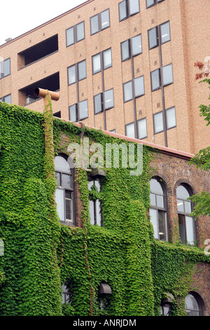 Fakultät für Wissenschaft Gebäude Hokkaido Universität Sapporo Japan moderne gotische Architektur Stockfoto