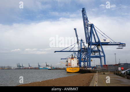 Schiffsbeladung am Dockside. Felixstowe Containerhafen. Suffolk. VEREINIGTES KÖNIGREICH. Stockfoto