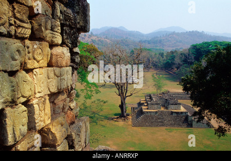 Gericht, Ballspiele, archäologischer Park, Maya-Ruinen von Copan. Honduras Stockfoto