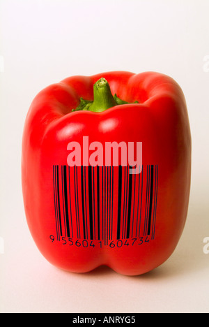 Rote Paprika mit Barcode überlagert veranschaulichen genetisch veränderte Lebensmittel Stockfoto