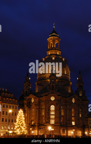 Dresdner Frauenkirche beleuchtet in der Nacht mit Weihnachtsbaum Stockfoto