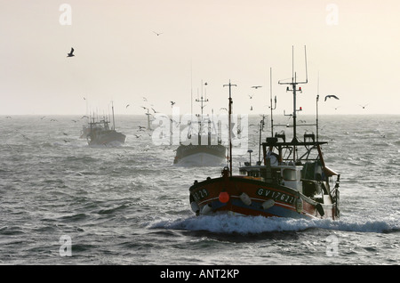 Französische Fischer in vier Fischerbooten, die nach einem Tag auf See in den Hafen zurückkehren, Le Guilvinec, Bretagne, Frankreich Europa Stockfoto