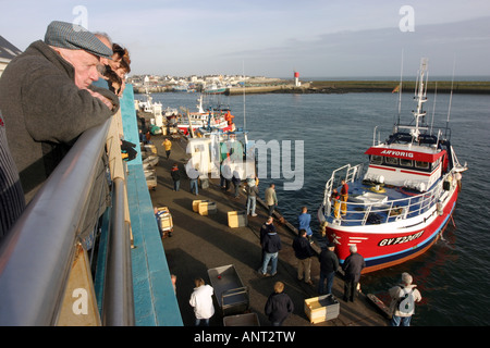 Trawler entladen seinen Fang beobachtet von Touristen, Le Guilvenec, Bretagne, Frankreich Stockfoto