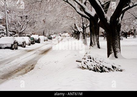 Toronto Wohngebiet wurde bei einem Wintersturm im Schnee begraben. Stockfoto