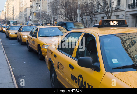 Taxis, aufgereiht auf der Fifth Avenue in New York City Stockfoto