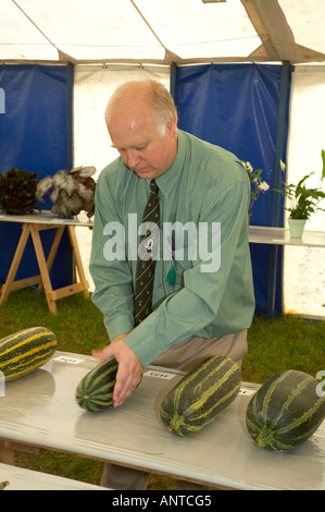 Die jährliche Muker Landwirtschaft zeigen Swaledale Yorkshire Dales England statt jedes Jahr im September die Beurteilung Zucchini im produzieren zehn Stockfoto