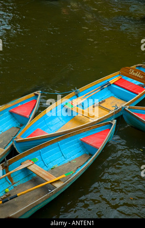 Boote zum Bootfahren am Fluss Cherwell von Magdalen Bridge in der Nähe von Magdalen College Oxford UK England Stockfoto