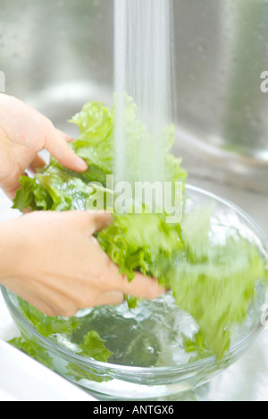 Eine Frau, die Gemüse waschen Stockfoto