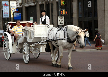 Touristen genießen von einem Pferd gezogenen Buggy fahren in Indianapolis in der Nacht Stockfoto