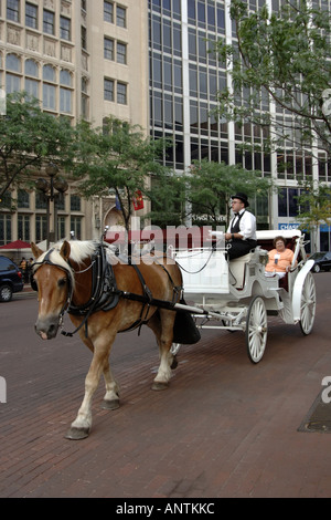 Touristen genießen von einem Pferd gezogenen Buggy fahren in Indianapolis in der Nacht Stockfoto