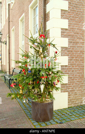 Weihnachtsbaum Stockfoto