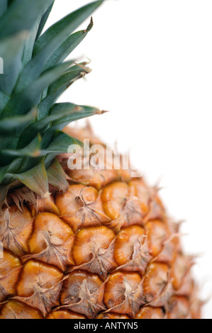 Ananas hautnah auf weißem Hintergrund Stockfoto