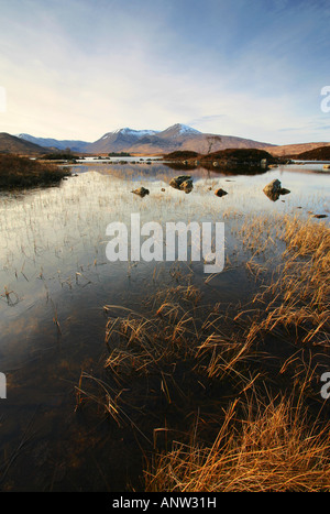 Winter auf Rannoch Moor, Blick man keine Achlaise auf den Gipfel des Blackmount-Gebirges, Glencoe, Lochaber, Schottland. Stockfoto