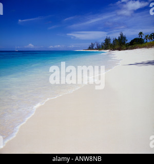Weißen Sandstrand des einsamen traumhaften typische Wüsteninsel mit weit entfernten Bäumen auf Bird Island The Seychellen Indischer Ozean Stockfoto