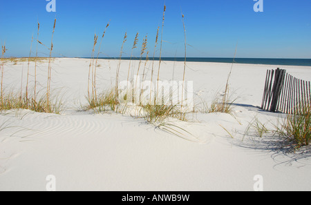 Sanddüne Zaun und Meer Gräser am Traumstrand Stockfoto