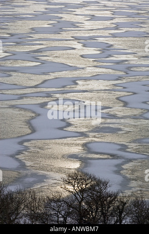 Windgepeitschten Schnee Muster auf gefrorenen Lower Waterton Lake, mit Küstenlinie Eiche, Waterton Lakes National Park, Alberta, Kanada Stockfoto