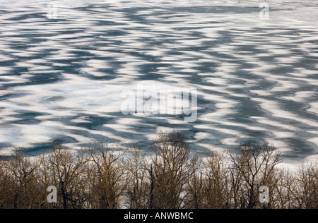 Windgepeitschten Schnee Muster auf gefrorenen Lower Waterton Lake, mit Küstenlinie Eiche Bäume, Waterton Lakes National Park, Alberta, Kanada Stockfoto