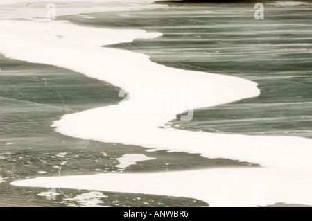 Windgepeitschten Schnee auf gefrorenen Talbot Lake im Jasper Wohnungen, Jasper Nationalpark, Alberta, Kanada Stockfoto