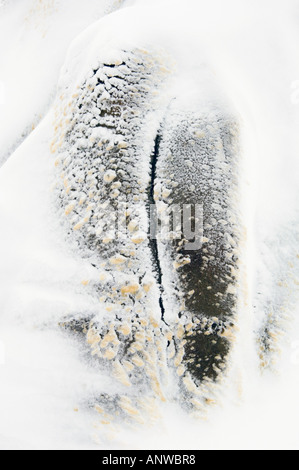 Neuschnee auf Tonstein Ödland in der Nähe von Hoodoos, Drumheller, East Coulee, Alberta, Kanada Stockfoto