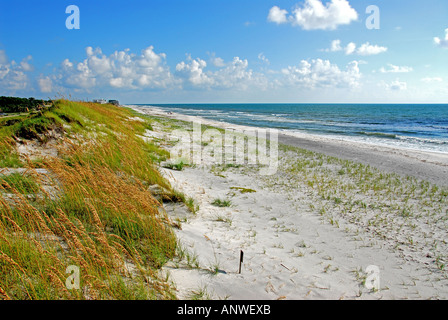 Florida St Joe Joseph Peninsula State Park Golf Küste Sehafer und Sanddünen niemand keine Menschen Stockfoto