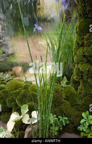 Chelsea Flower Show 2007 die Un Tei Garten der Wolken. Stockfoto