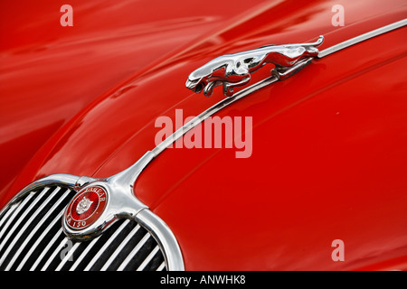 Jaguar XK 150 bei Vintage show, Cheshire, England Stockfoto