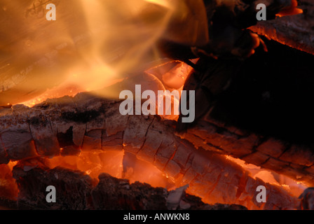 Stücke von Brennholz in ein Lagerfeuer brennt Stockfoto