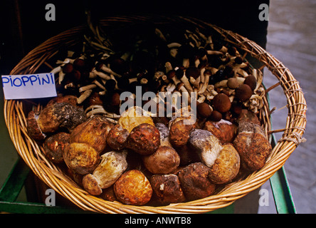 Korb mit lokalen Geflügel Pilze auf dem Display außerhalb Siena Lebensmittelgeschäft Korb Toskana Italien Stockfoto