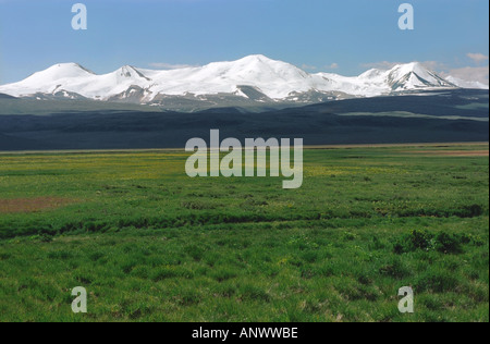 Das Tabyn-Bogdo-Ola und dem Ukok-Plateau. Altai. Sibirien. Russland Stockfoto