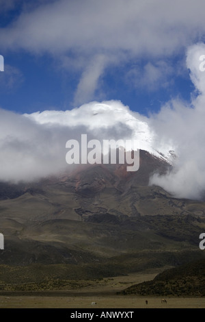 Gipfel des Cotopaxi, Ecuador Stockfoto