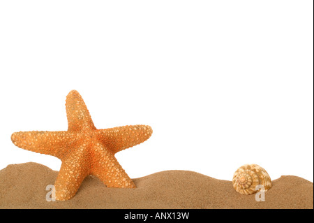 Starfish and seashell in the sand lower frame border Stockfoto