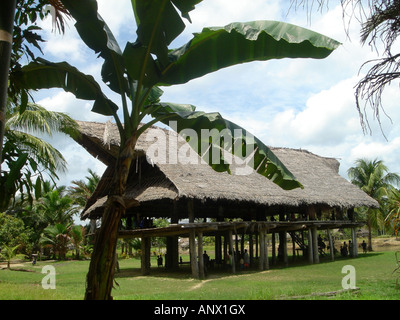 Geisterhaus mit Banane, Papua-Neu-Guinea Stockfoto