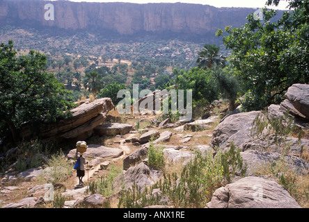 Ein Mann, der seinen Weg durch den Busch in der Nähe der Dogon Dorf Nombori, in Mali, Afrika. (MR) Stockfoto